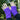 Wristies Short in Purple, Adult Small